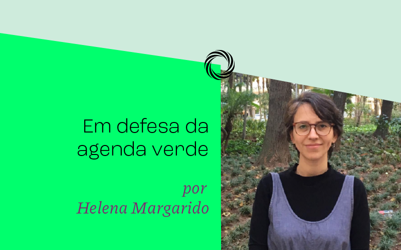 Em defesa da agenda verde