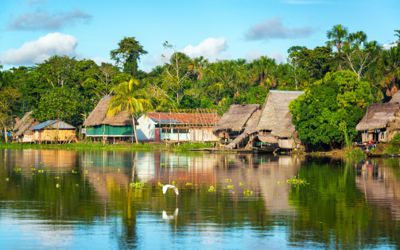 Consequências do narcotráfico e do garimpo ilegal na Amazônia. Saiba mais!